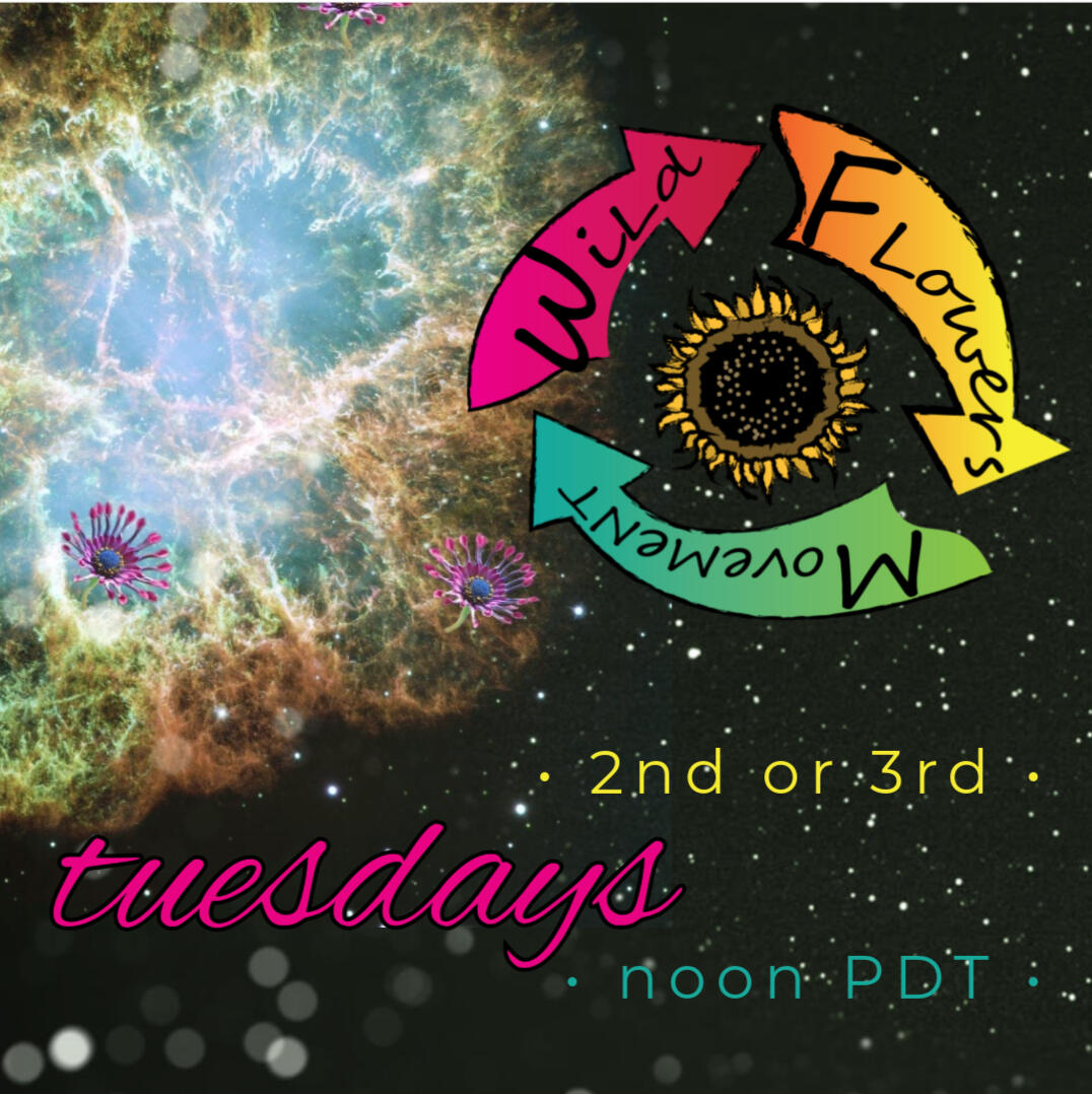 Regular Meetings Selected Tuesdays of the Month from 9am to 10 am Pacific