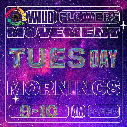 Wildflowers' Movement - Newsletter Schedule Change from Mornings to Afternoons 2024